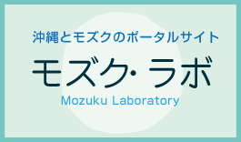 勉強会のお知らせ